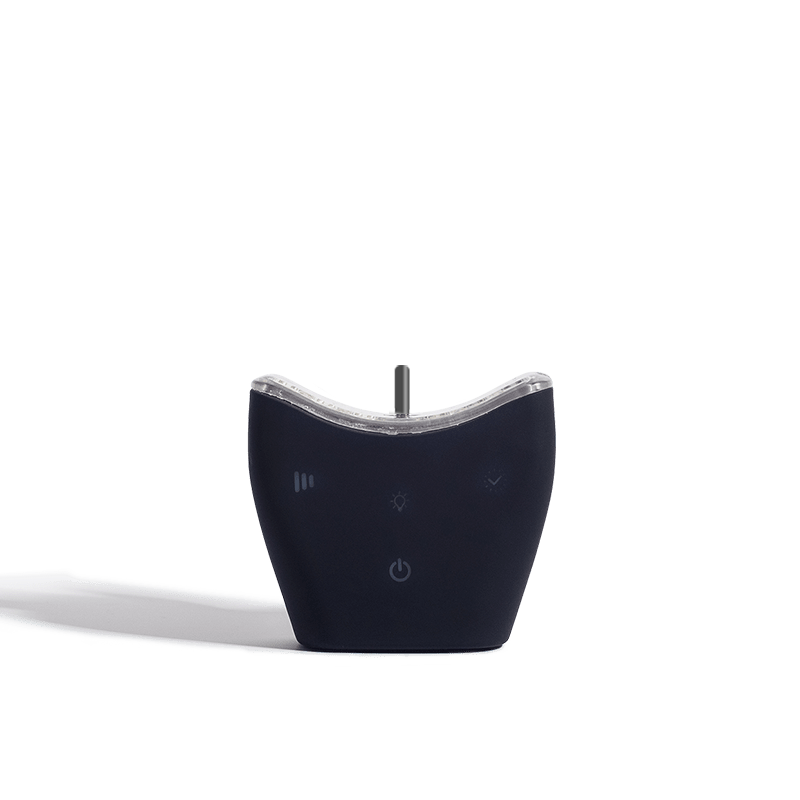 autobrush®: Sonic Pro Upgrade